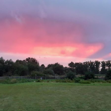 Agroturystyka Tam Gdzie Sosny Ścinawka Dolna Eksteriør bilde