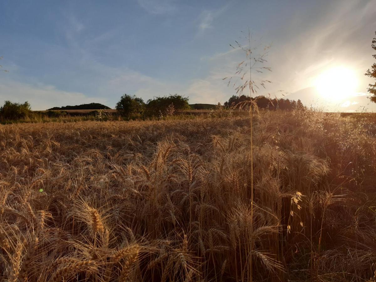 Agroturystyka Tam Gdzie Sosny Ścinawka Dolna Eksteriør bilde