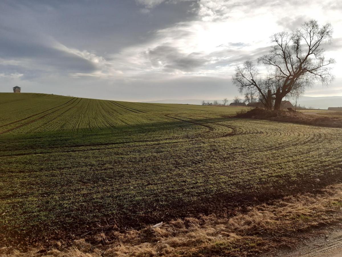 Agroturystyka Tam Gdzie Sosny Ścinawka Dolna Eksteriør bilde