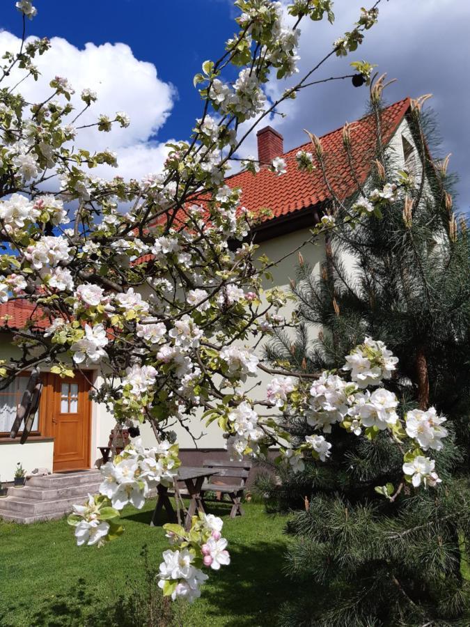 Agroturystyka Tam Gdzie Sosny Ścinawka Dolna Eksteriør bilde